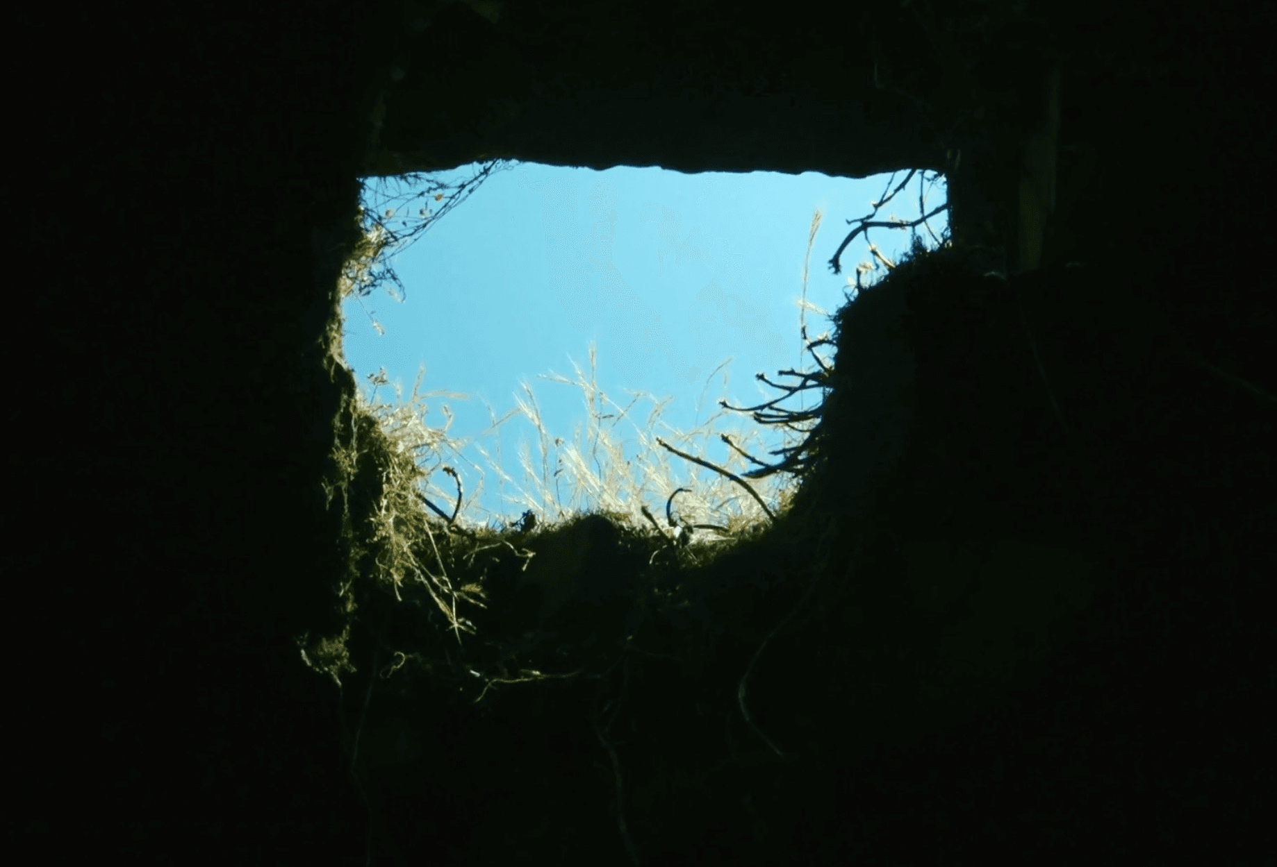 AYARANGA, tierra añorada